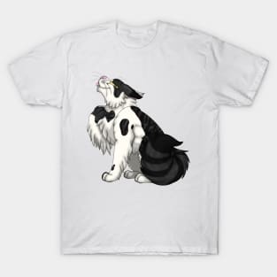 Black Bicolor Tabby Longhair T-Shirt